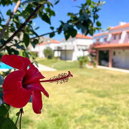 Renthub At Kolympia Villa