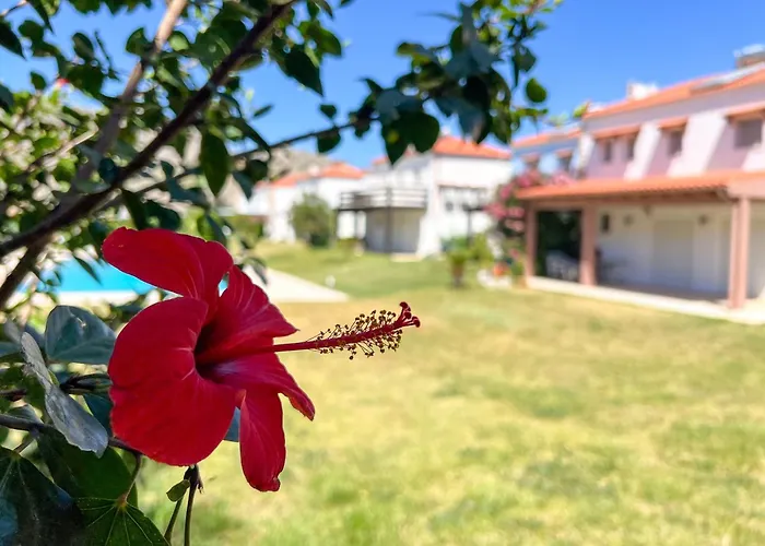 Renthub At Kolympia Βίλα